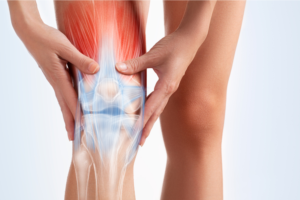 Knee Replacement Model